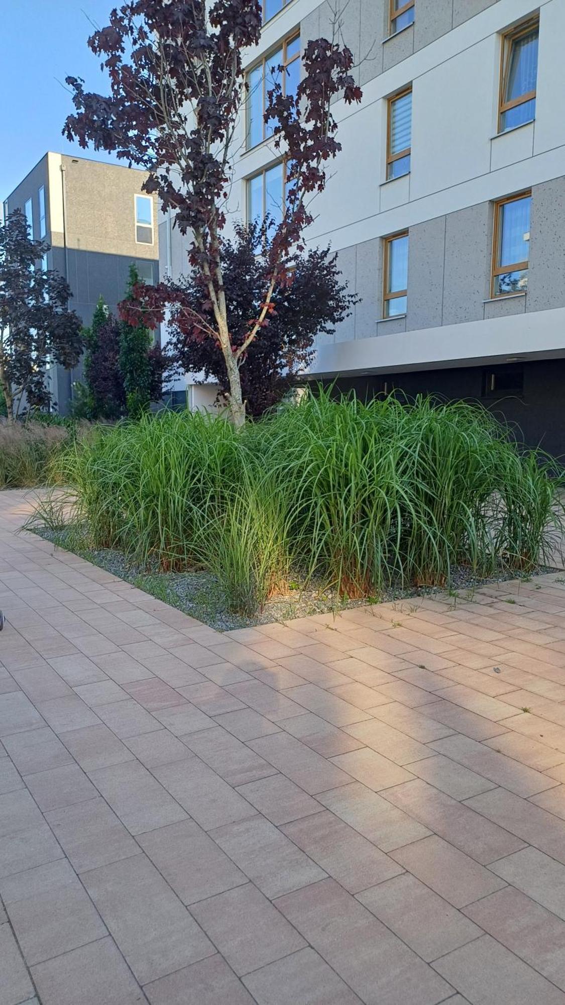 Apartament Davima Aquapark Rumia - Novum Εξωτερικό φωτογραφία
